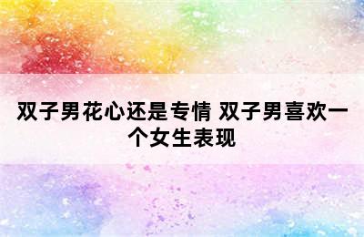 双子男花心还是专情 双子男喜欢一个女生表现